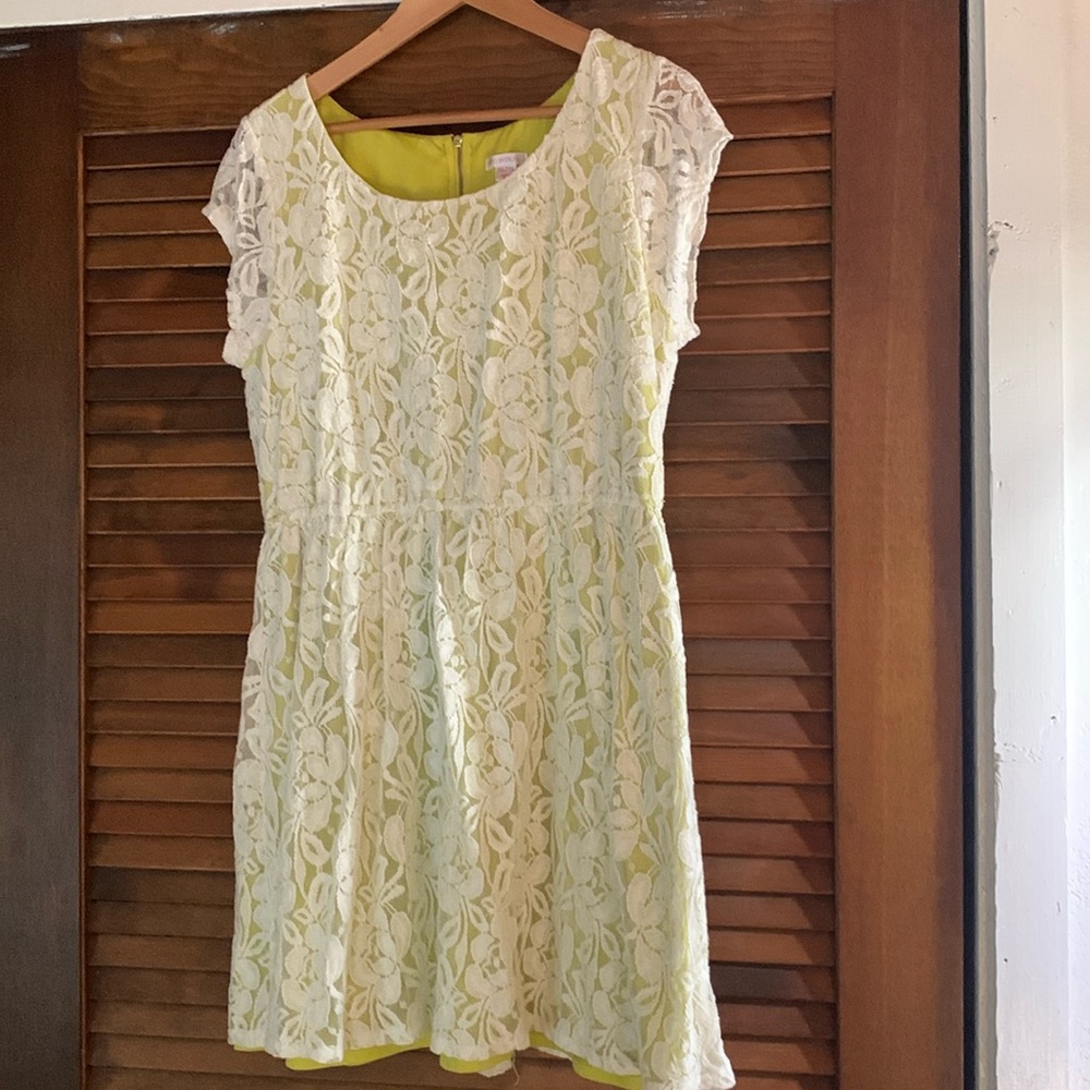 Vintage inspired Lace dress with peekaboo lining